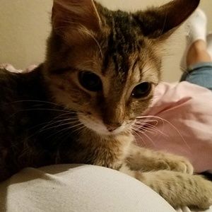 Meet your Posher, Carla